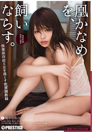 【ABP-644】快乐依存症S女的密室调教录 凰香奈芽(凰かなめ)